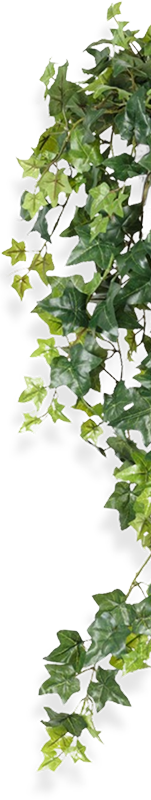 Overlay-image